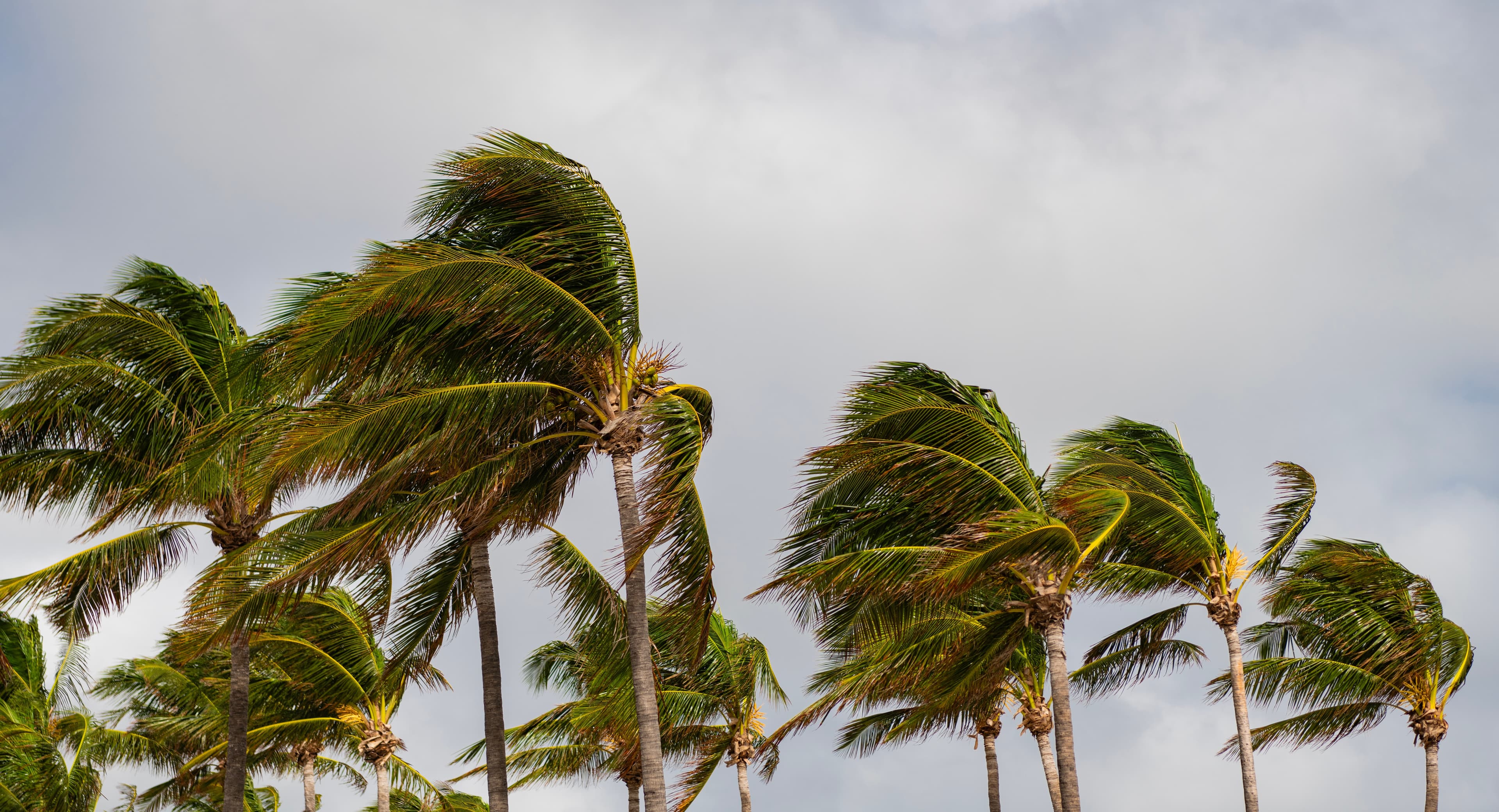 Built for the Harshest Weather: Why Lanco Products Hold Up When Others Don't