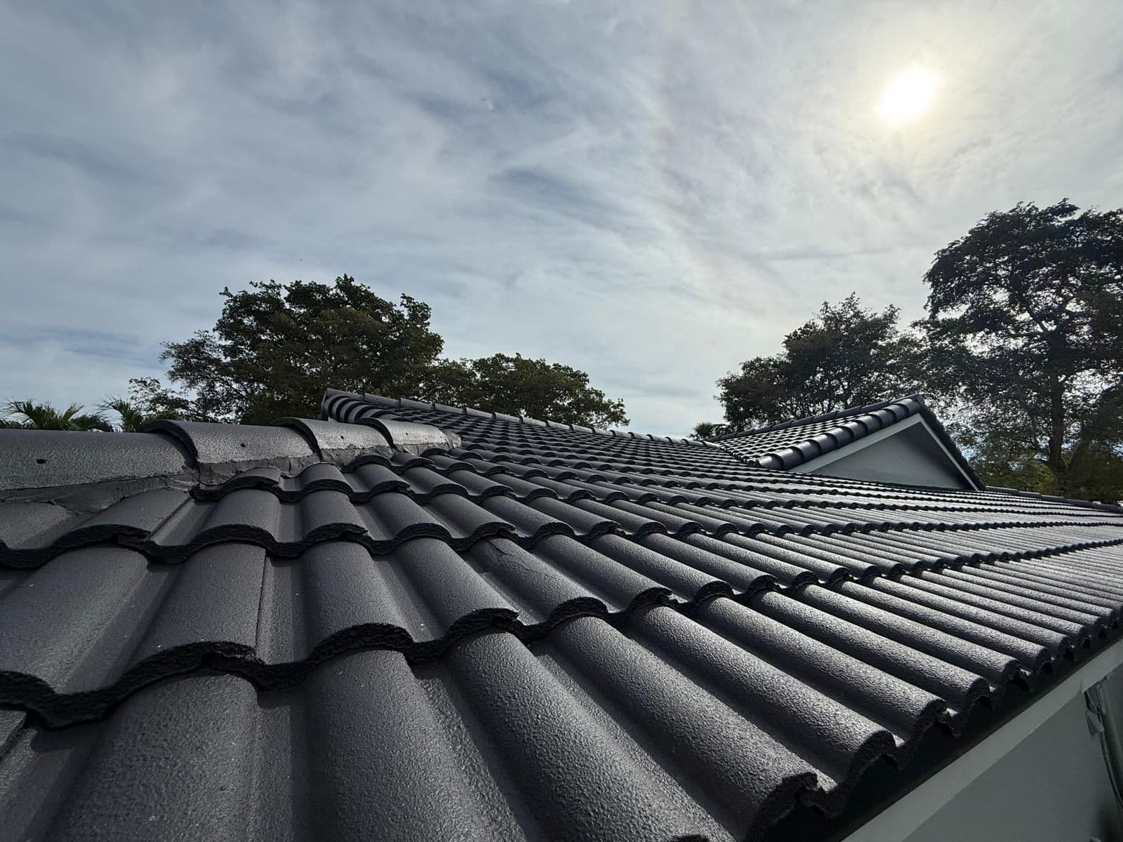 Dura-Life Roof Paint