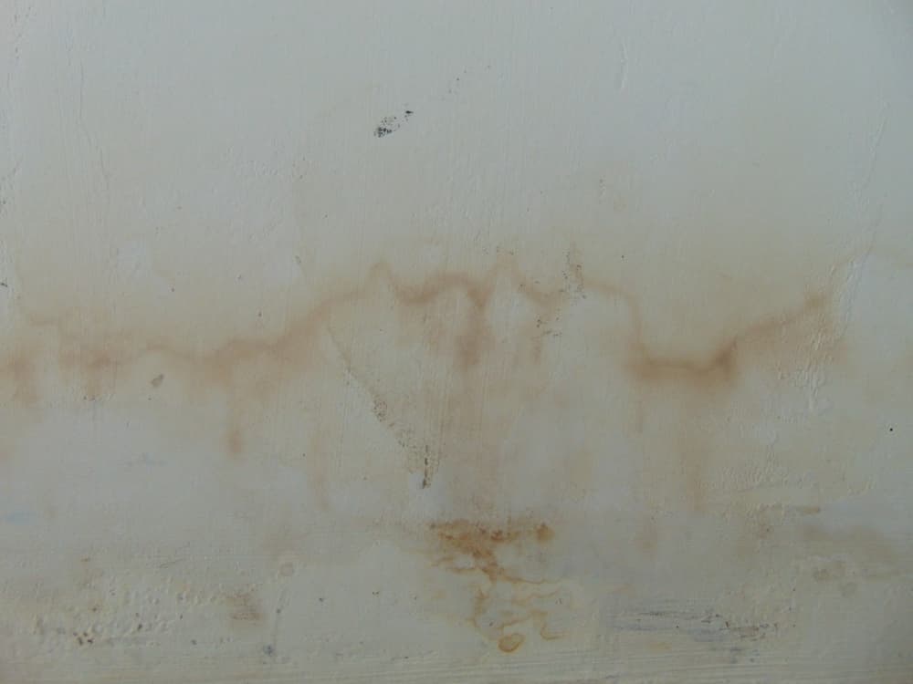 Fading & Discoloration