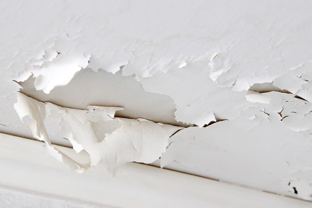 Water Intrusion