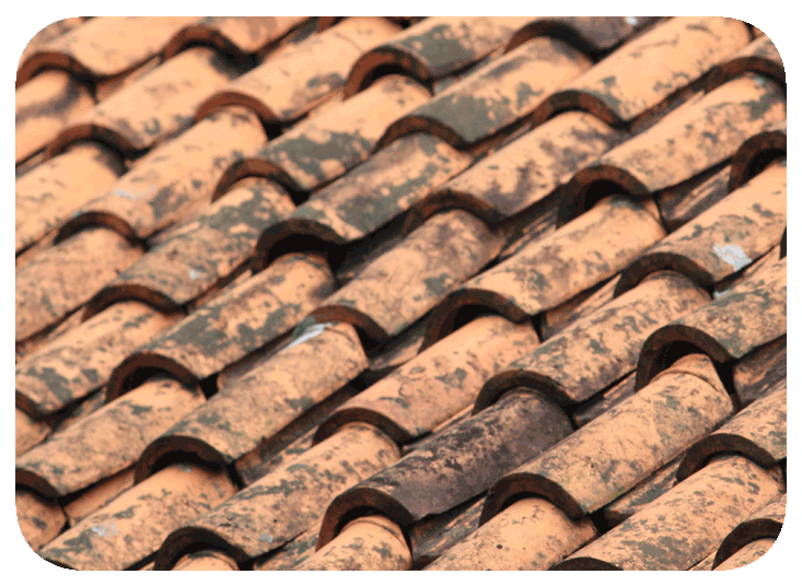 Resistant to mold, mildew and UV exposure